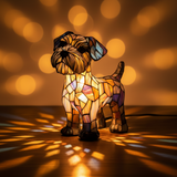 Stolz Terrier
