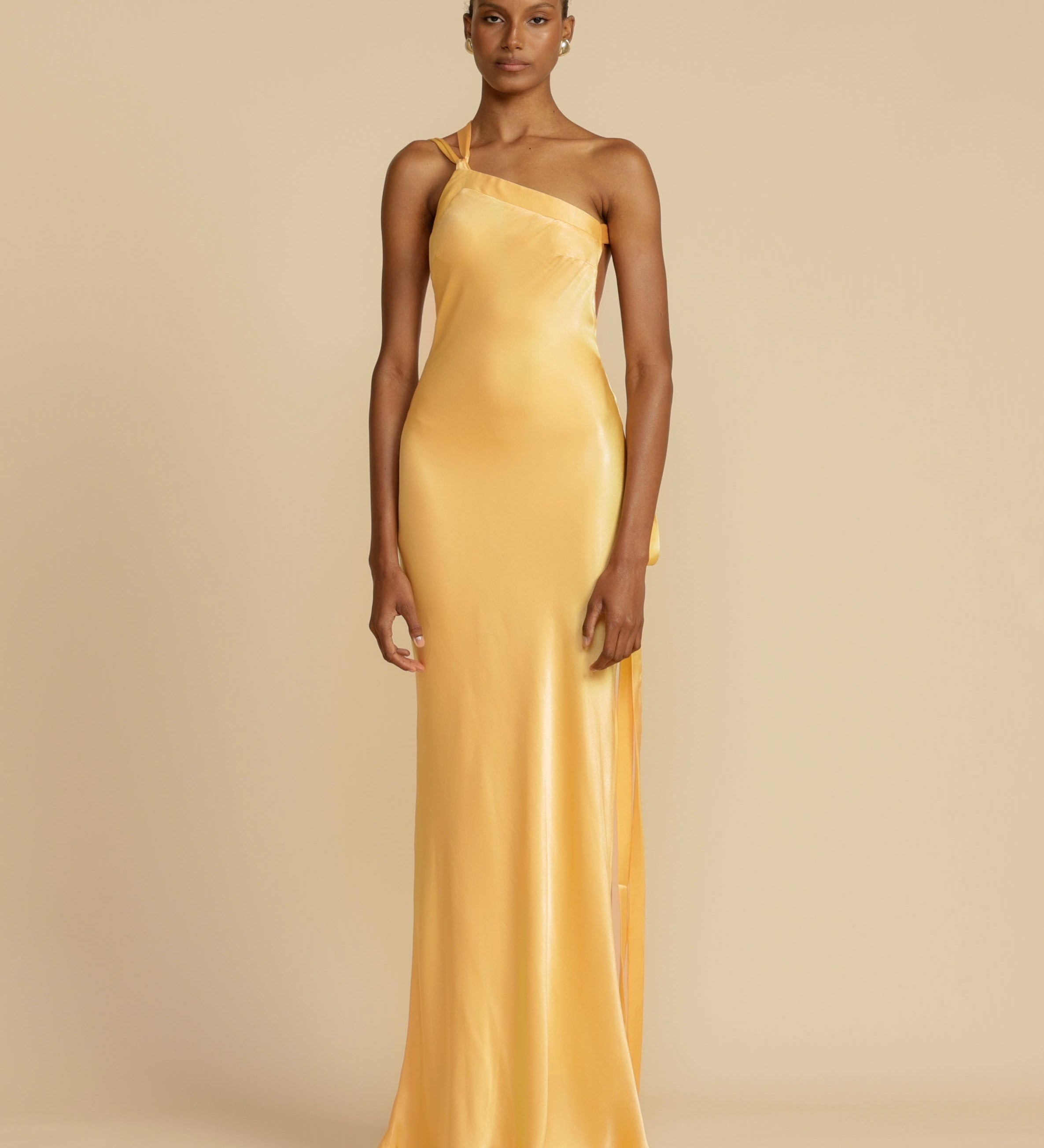 Isabella | Luxurious Long Dress