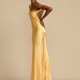 Isabella | Luxurious Long Dress