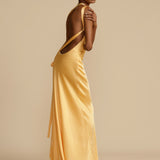 Isabella | Luxurious Long Dress