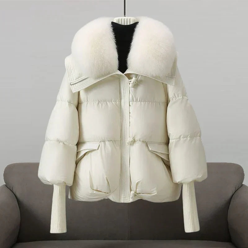 India - Perfect Autumn Coat