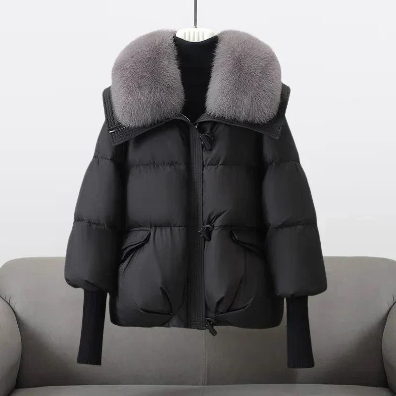 India - Perfect Autumn Coat